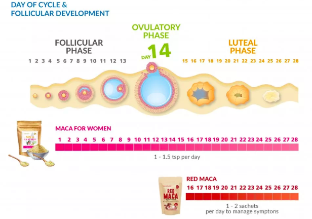 MacaTreatment for FemaleHormone MacaTreatment for FemaleHormone